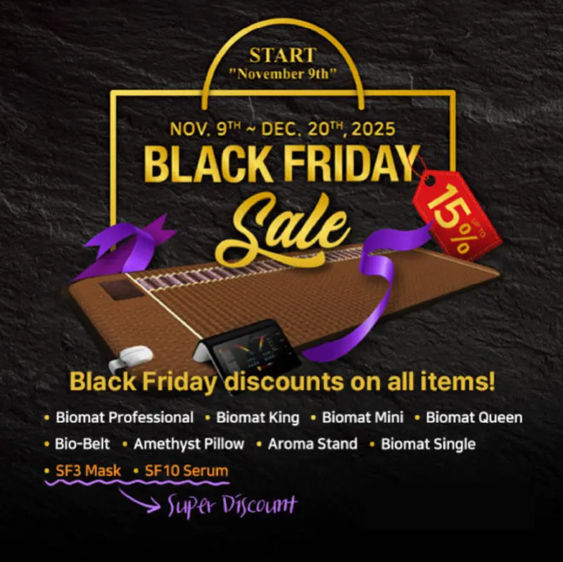 Black Friday 2025 Promo